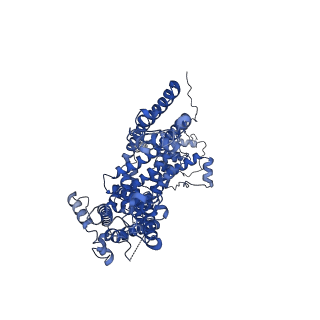 33022_7x6i_C_v1-1
Cryo-EM structure of the human TRPC5 ion channel in complex with G alpha i3 subunits, class1