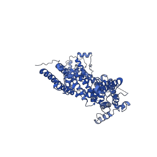 33022_7x6i_D_v1-1
Cryo-EM structure of the human TRPC5 ion channel in complex with G alpha i3 subunits, class1
