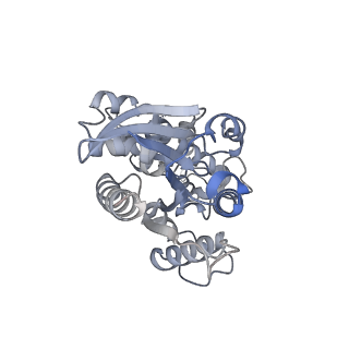 33022_7x6i_E_v1-1
Cryo-EM structure of the human TRPC5 ion channel in complex with G alpha i3 subunits, class1