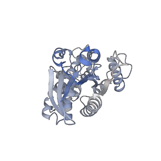 33022_7x6i_F_v1-1
Cryo-EM structure of the human TRPC5 ion channel in complex with G alpha i3 subunits, class1