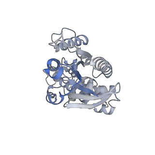 33022_7x6i_G_v1-1
Cryo-EM structure of the human TRPC5 ion channel in complex with G alpha i3 subunits, class1