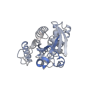 33022_7x6i_H_v1-1
Cryo-EM structure of the human TRPC5 ion channel in complex with G alpha i3 subunits, class1