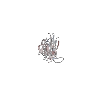 33024_7x6o_F_v1-1
Cryo-EM structure of H1 hemagglutinin from A/Washington/05/2011 in complex with a neutralizing antibody 28-12