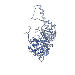 33025_7x6q_A_v1-1
cryo-EM structure of human TRiC-ATP-closed state