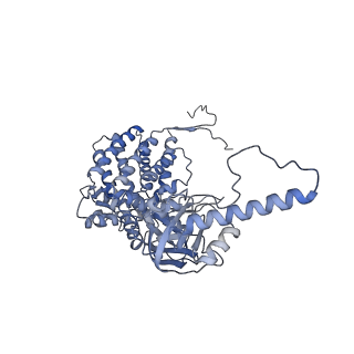 33025_7x6q_B_v1-1
cryo-EM structure of human TRiC-ATP-closed state