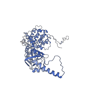 33025_7x6q_E_v1-1
cryo-EM structure of human TRiC-ATP-closed state