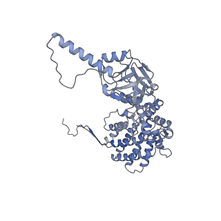 33025_7x6q_G_v1-1
cryo-EM structure of human TRiC-ATP-closed state