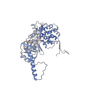 33025_7x6q_H_v1-1
cryo-EM structure of human TRiC-ATP-closed state
