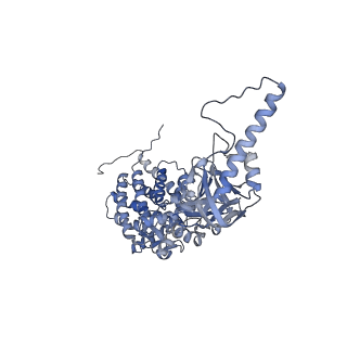 33025_7x6q_I_v1-1
cryo-EM structure of human TRiC-ATP-closed state