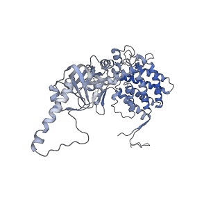 33025_7x6q_J_v1-1
cryo-EM structure of human TRiC-ATP-closed state