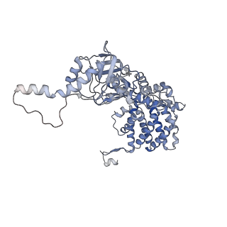33025_7x6q_K_v1-1
cryo-EM structure of human TRiC-ATP-closed state