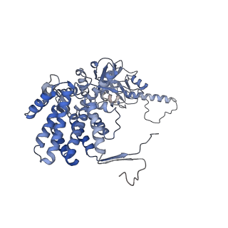 33025_7x6q_L_v1-1
cryo-EM structure of human TRiC-ATP-closed state