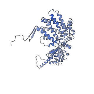 33025_7x6q_N_v1-1
cryo-EM structure of human TRiC-ATP-closed state