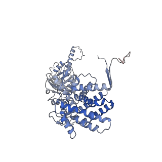 33025_7x6q_O_v1-1
cryo-EM structure of human TRiC-ATP-closed state