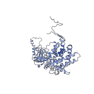 33025_7x6q_P_v1-1
cryo-EM structure of human TRiC-ATP-closed state