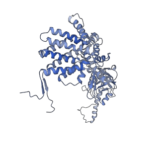 33025_7x6q_a_v1-1
cryo-EM structure of human TRiC-ATP-closed state