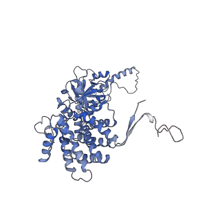 33025_7x6q_e_v1-1
cryo-EM structure of human TRiC-ATP-closed state