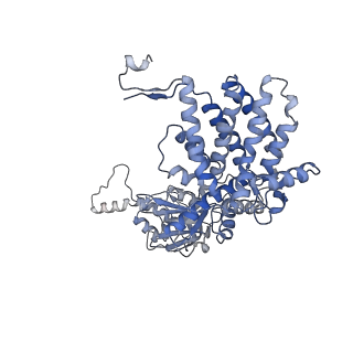 33025_7x6q_z_v1-1
cryo-EM structure of human TRiC-ATP-closed state