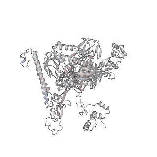 22084_6x7f_AA_v1-2
Cryo-EM structure of an Escherichia coli coupled transcription-translation complex B2 (TTC-B2) containing an mRNA with a 24 nt long spacer, transcription factors NusA and NusG, and fMet-tRNAs at P-site and E-site