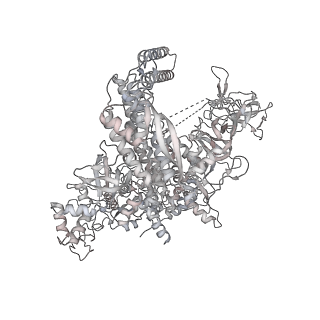 22084_6x7f_AE_v1-2
Cryo-EM structure of an Escherichia coli coupled transcription-translation complex B2 (TTC-B2) containing an mRNA with a 24 nt long spacer, transcription factors NusA and NusG, and fMet-tRNAs at P-site and E-site