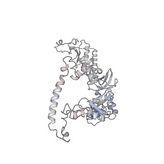 22084_6x7f_AG_v1-2
Cryo-EM structure of an Escherichia coli coupled transcription-translation complex B2 (TTC-B2) containing an mRNA with a 24 nt long spacer, transcription factors NusA and NusG, and fMet-tRNAs at P-site and E-site
