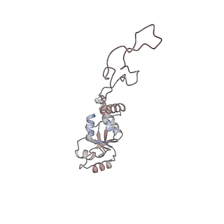 22084_6x7f_l_v1-2
Cryo-EM structure of an Escherichia coli coupled transcription-translation complex B2 (TTC-B2) containing an mRNA with a 24 nt long spacer, transcription factors NusA and NusG, and fMet-tRNAs at P-site and E-site