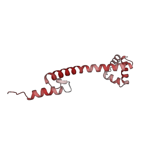 22084_6x7f_z_v1-2
Cryo-EM structure of an Escherichia coli coupled transcription-translation complex B2 (TTC-B2) containing an mRNA with a 24 nt long spacer, transcription factors NusA and NusG, and fMet-tRNAs at P-site and E-site