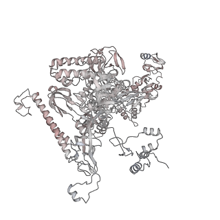 22087_6x7k_AA_v1-2
Cryo-EM structure of an Escherichia coli coupled transcription-translation complex B3 (TTC-B3) containing an mRNA with a 24 nt long spacer, transcription factors NusA and NusG, and fMet-tRNAs at P-site and E-site