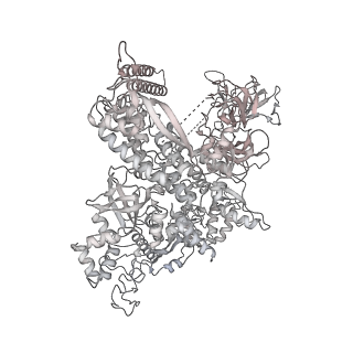 22087_6x7k_AE_v1-2
Cryo-EM structure of an Escherichia coli coupled transcription-translation complex B3 (TTC-B3) containing an mRNA with a 24 nt long spacer, transcription factors NusA and NusG, and fMet-tRNAs at P-site and E-site