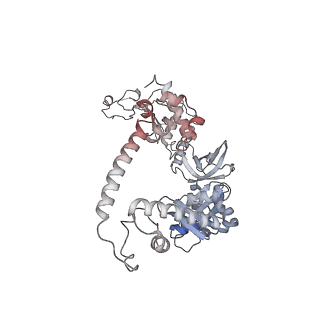 22087_6x7k_AG_v1-2
Cryo-EM structure of an Escherichia coli coupled transcription-translation complex B3 (TTC-B3) containing an mRNA with a 24 nt long spacer, transcription factors NusA and NusG, and fMet-tRNAs at P-site and E-site