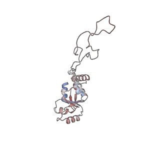 22087_6x7k_l_v1-2
Cryo-EM structure of an Escherichia coli coupled transcription-translation complex B3 (TTC-B3) containing an mRNA with a 24 nt long spacer, transcription factors NusA and NusG, and fMet-tRNAs at P-site and E-site