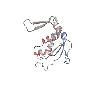 22087_6x7k_s_v1-2
Cryo-EM structure of an Escherichia coli coupled transcription-translation complex B3 (TTC-B3) containing an mRNA with a 24 nt long spacer, transcription factors NusA and NusG, and fMet-tRNAs at P-site and E-site