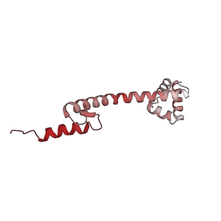 22087_6x7k_z_v1-2
Cryo-EM structure of an Escherichia coli coupled transcription-translation complex B3 (TTC-B3) containing an mRNA with a 24 nt long spacer, transcription factors NusA and NusG, and fMet-tRNAs at P-site and E-site