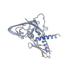 33031_7x74_A_v1-2
Cryo-EM structure of Streptomyces coelicolor transcription initial complex with two Zur dimers.