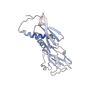33031_7x74_B_v1-2
Cryo-EM structure of Streptomyces coelicolor transcription initial complex with two Zur dimers.