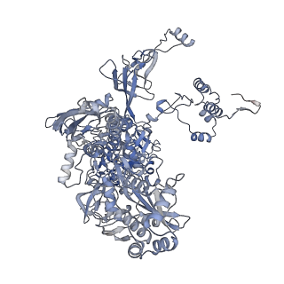 33031_7x74_C_v1-2
Cryo-EM structure of Streptomyces coelicolor transcription initial complex with two Zur dimers.