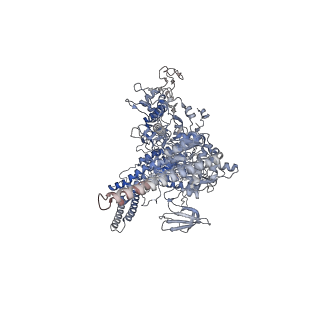 33031_7x74_D_v1-2
Cryo-EM structure of Streptomyces coelicolor transcription initial complex with two Zur dimers.