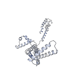 33031_7x74_F_v1-2
Cryo-EM structure of Streptomyces coelicolor transcription initial complex with two Zur dimers.