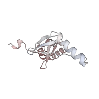 33031_7x74_G_v1-2
Cryo-EM structure of Streptomyces coelicolor transcription initial complex with two Zur dimers.