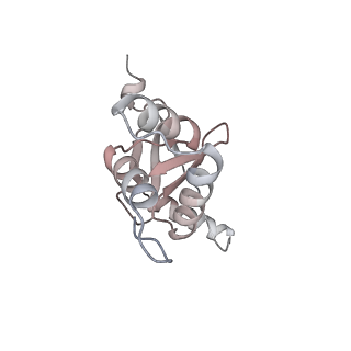33031_7x74_M_v1-2
Cryo-EM structure of Streptomyces coelicolor transcription initial complex with two Zur dimers.