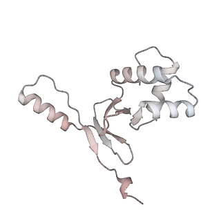 33031_7x74_N_v1-2
Cryo-EM structure of Streptomyces coelicolor transcription initial complex with two Zur dimers.