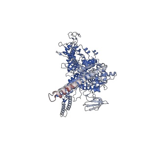 33032_7x75_D_v1-1
Cryo-EM structure of Streptomyces coelicolor RNAP-promoter open complex with three Zur dimers