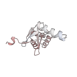 33032_7x75_G_v1-1
Cryo-EM structure of Streptomyces coelicolor RNAP-promoter open complex with three Zur dimers