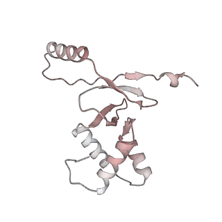 33032_7x75_H_v1-1
Cryo-EM structure of Streptomyces coelicolor RNAP-promoter open complex with three Zur dimers