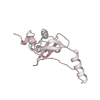 33032_7x75_L_v1-1
Cryo-EM structure of Streptomyces coelicolor RNAP-promoter open complex with three Zur dimers