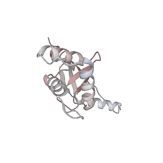 33032_7x75_M_v1-1
Cryo-EM structure of Streptomyces coelicolor RNAP-promoter open complex with three Zur dimers