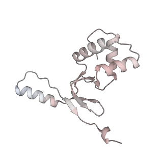 33032_7x75_N_v1-1
Cryo-EM structure of Streptomyces coelicolor RNAP-promoter open complex with three Zur dimers