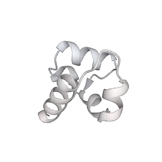 33032_7x75_S_v1-1
Cryo-EM structure of Streptomyces coelicolor RNAP-promoter open complex with three Zur dimers