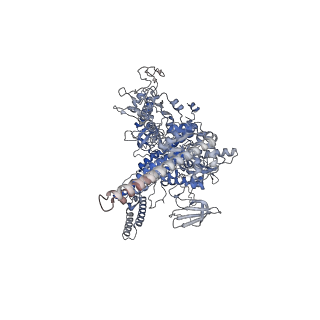 33033_7x76_D_v1-1
Cryo-EM structure of Streptomyces coelicolor RNAP-promoter open complex with two Zur dimers