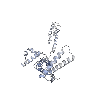 33033_7x76_F_v1-1
Cryo-EM structure of Streptomyces coelicolor RNAP-promoter open complex with two Zur dimers